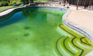Что делать, если зеленеет вода в бассейне Бассейн зеленый что делать