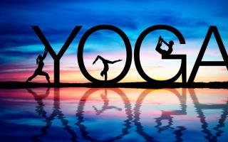 Основы йоги для начинающих 10 основных упражнений йоги