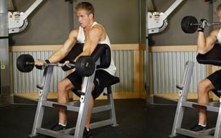 Подробный комплекс упражнений в тренажерном зале для мужчин: занятия трижды в неделю Тренировка в спортзале на 3 тренировки