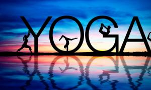 Основы йоги для начинающих 10 основных упражнений йоги